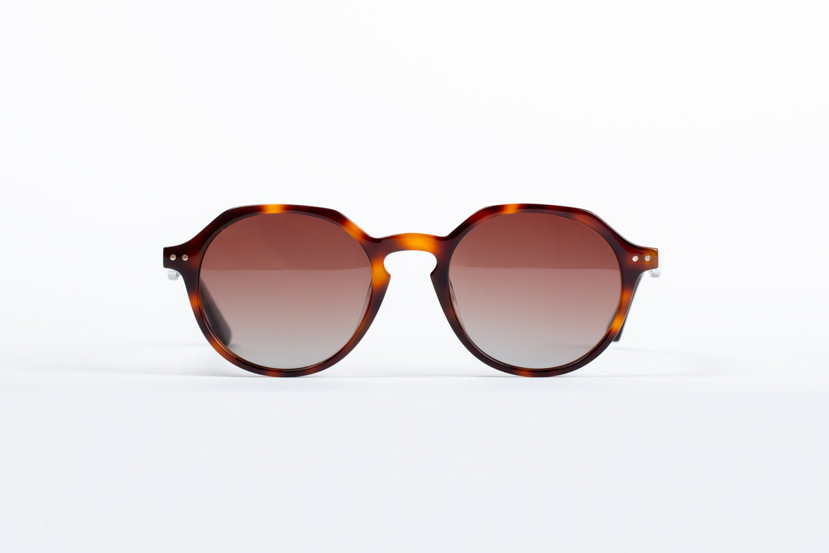 Partridge - Havana Tortoise Shell
