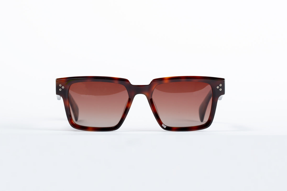 Powell - Havana Tortoise Shell