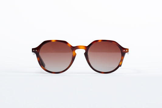 Partridge - Havana Tortoise Shell