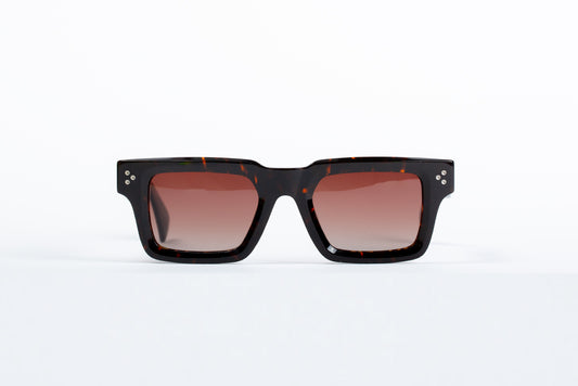 Northwood - Havana Tortoise Shell