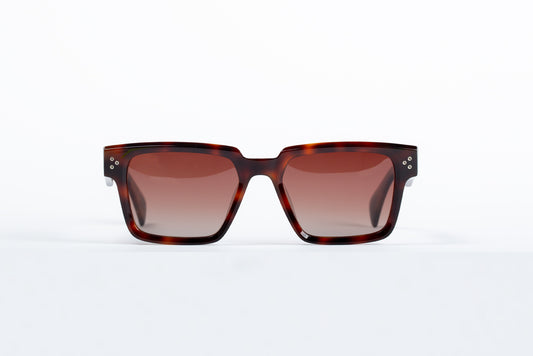 Powell - Havana Tortoise Shell